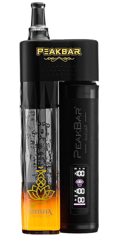 Portable Hookah Pipe