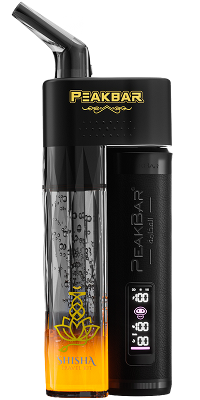Portable Hookah Pipe