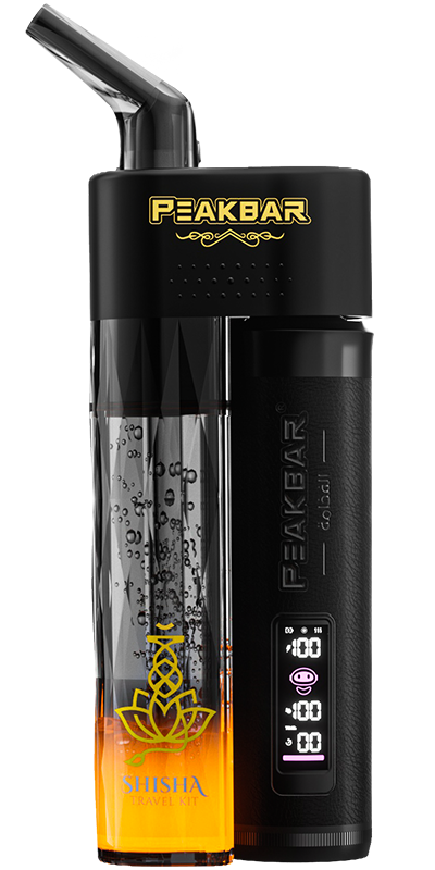 Portable Hookah Pipe